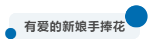 1572331527105586Vvwp.png
